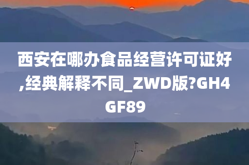 西安在哪办食品经营许可证好,经典解释不同_ZWD版?GH4GF89