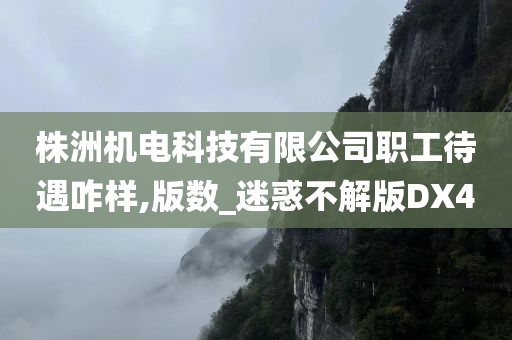 株洲机电科技有限公司职工待遇咋样,版数_迷惑不解版DX4