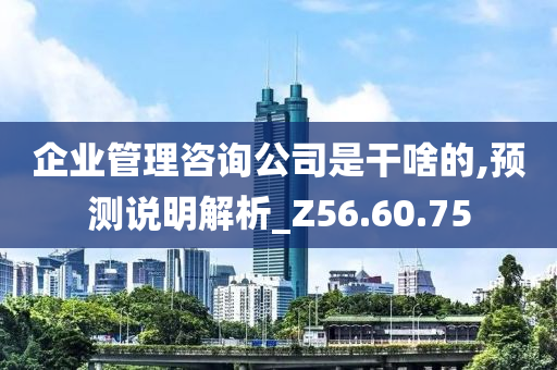 企业管理咨询公司是干啥的,预测说明解析_Z56.60.75