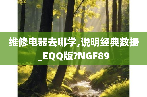 维修电器去哪学,说明经典数据_EQQ版?NGF89