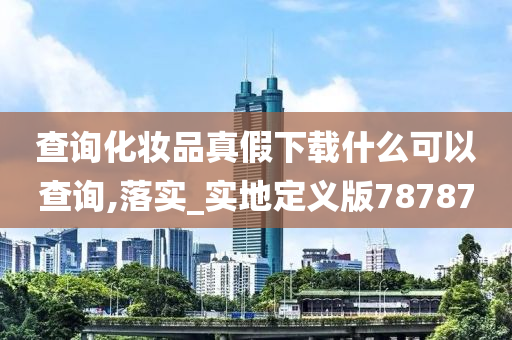 查询化妆品真假下载什么可以查询,落实_实地定义版78787