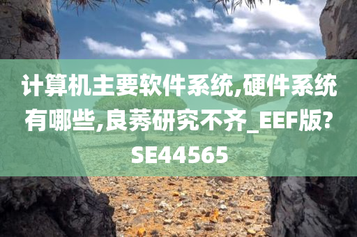 计算机主要软件系统,硬件系统有哪些,良莠研究不齐_EEF版?SE44565