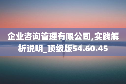 企业咨询管理有限公司,实践解析说明_顶级版54.60.45