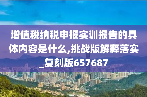 增值税纳税申报实训报告的具体内容是什么,挑战版解释落实_复刻版657687