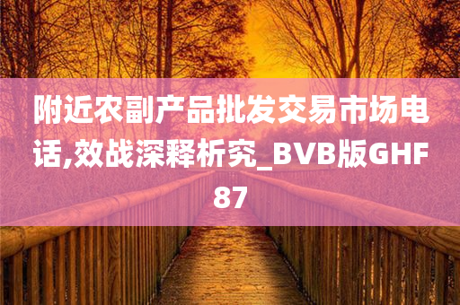 附近农副产品批发交易市场电话,效战深释析究_BVB版GHF87