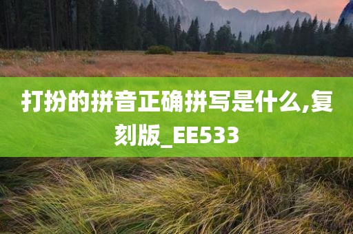 打扮的拼音正确拼写是什么,复刻版_EE533