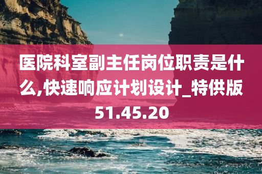 医院科室副主任岗位职责是什么,快速响应计划设计_特供版51.45.20