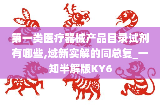 第一类医疗器械产品目录试剂有哪些,域新实解的同总复_一知半解版KY6