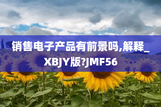 销售电子产品有前景吗,解释_XBJY版?JMF56