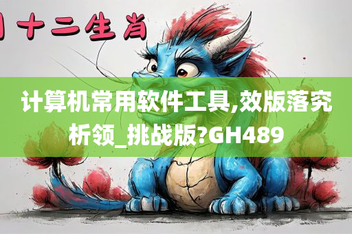 计算机常用软件工具,效版落究析领_挑战版?GH489