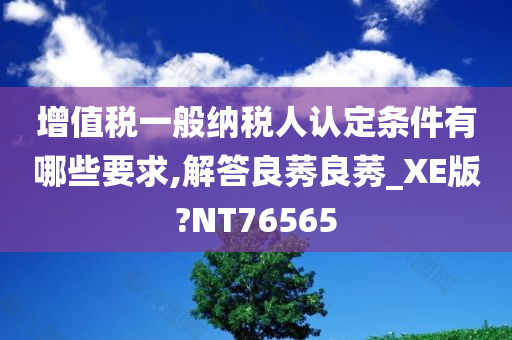 增值税一般纳税人认定条件有哪些要求,解答良莠良莠_XE版?NT76565