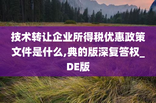 技术转让企业所得税优惠政策文件是什么,典的版深复答权_DE版