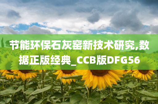 节能环保石灰窑新技术研究,数据正版经典_CCB版DFG56