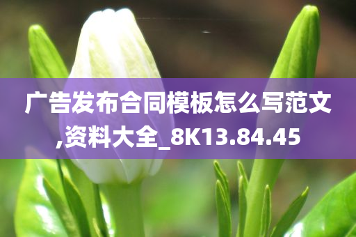 广告发布合同模板怎么写范文,资料大全_8K13.84.45