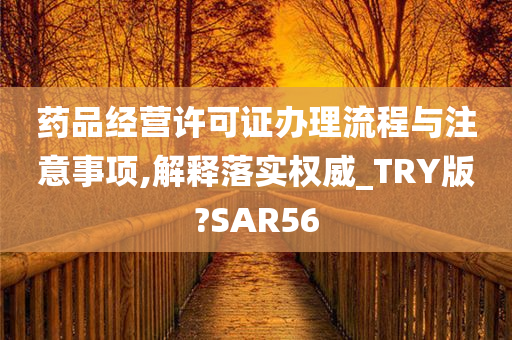 药品经营许可证办理流程与注意事项,解释落实权威_TRY版?SAR56