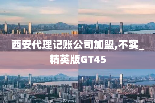 西安代理记账公司加盟,不实_精英版GT45