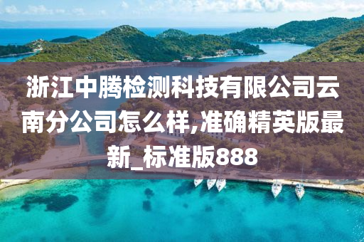 浙江中腾检测科技有限公司云南分公司怎么样,准确精英版最新_标准版888