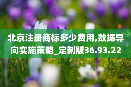 北京注册商标多少费用,数据导向实施策略_定制版36.93.22