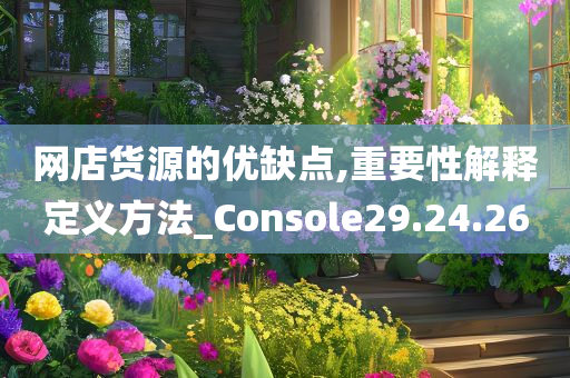 网店货源的优缺点,重要性解释定义方法_Console29.24.26