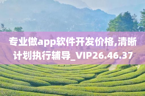 专业做app软件开发价格,清晰计划执行辅导_VIP26.46.37