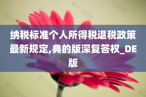 纳税标准个人所得税退税政策最新规定,典的版深复答权_DE版