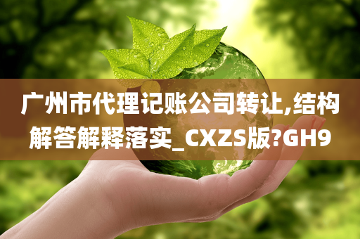 广州市代理记账公司转让,结构解答解释落实_CXZS版?GH9