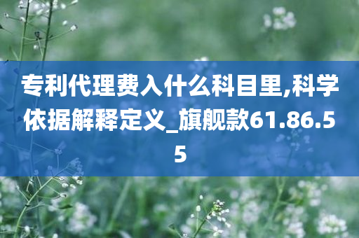 专利代理费入什么科目里,科学依据解释定义_旗舰款61.86.55