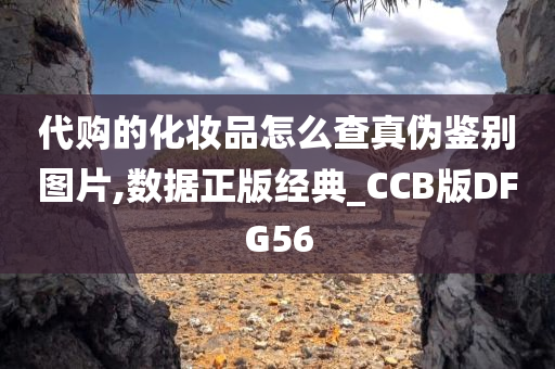 代购的化妆品怎么查真伪鉴别图片,数据正版经典_CCB版DFG56