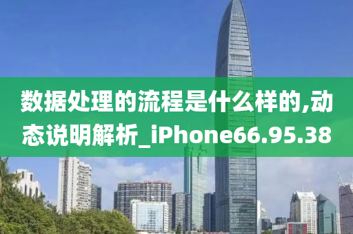 数据处理的流程是什么样的,动态说明解析_iPhone66.95.38