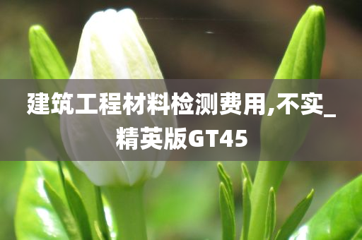 建筑工程材料检测费用,不实_精英版GT45