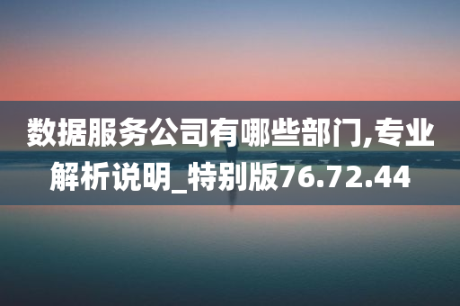 数据服务公司有哪些部门,专业解析说明_特别版76.72.44