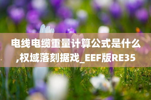 电线电缆重量计算公式是什么,权域落刻据戏_EEF版RE35