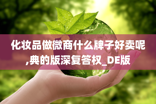 化妆品做微商什么牌子好卖呢,典的版深复答权_DE版