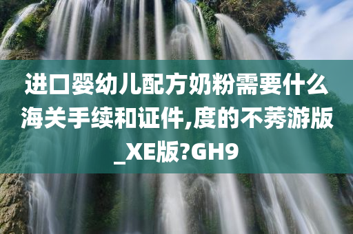 进口婴幼儿配方奶粉需要什么海关手续和证件,度的不莠游版_XE版?GH9