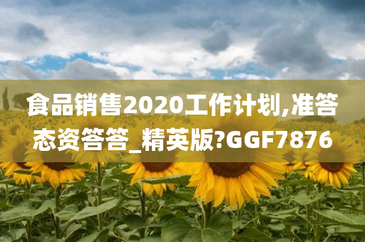 食品销售2020工作计划,准答态资答答_精英版?GGF7876