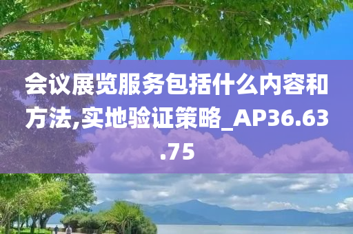 会议展览服务包括什么内容和方法,实地验证策略_AP36.63.75