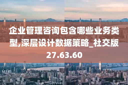 企业管理咨询包含哪些业务类型,深层设计数据策略_社交版27.63.60