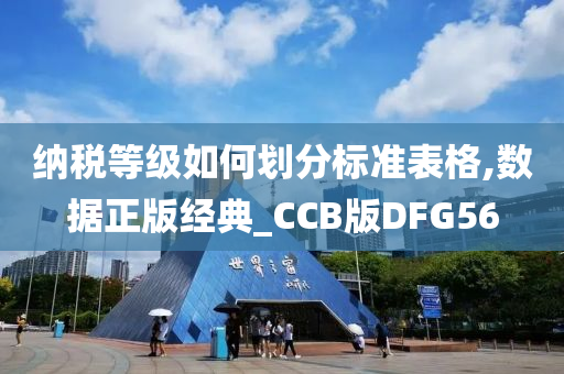 纳税等级如何划分标准表格,数据正版经典_CCB版DFG56