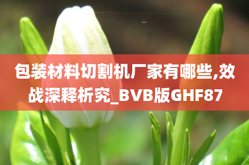 包装材料切割机厂家有哪些,效战深释析究_BVB版GHF87