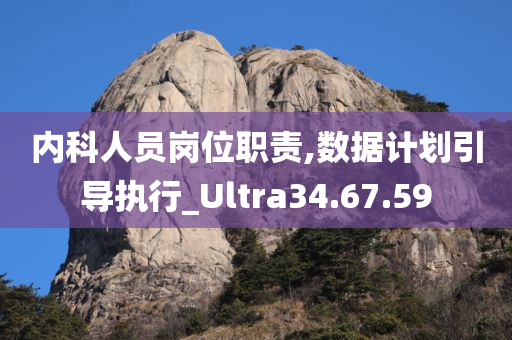 内科人员岗位职责,数据计划引导执行_Ultra34.67.59