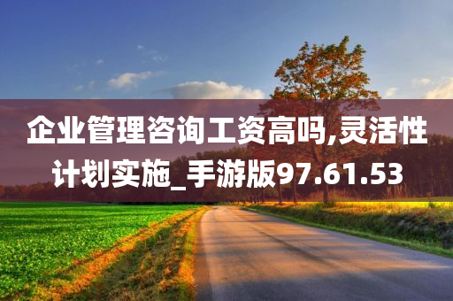 企业管理咨询工资高吗,灵活性计划实施_手游版97.61.53