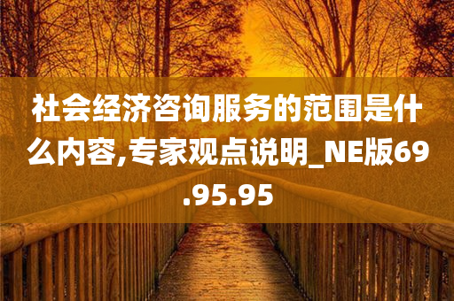 社会经济咨询服务的范围是什么内容,专家观点说明_NE版69.95.95