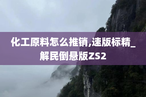 化工原料怎么推销,速版标精_解民倒悬版ZS2