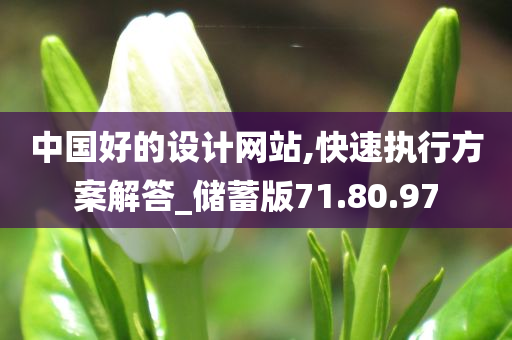 中国好的设计网站,快速执行方案解答_储蓄版71.80.97