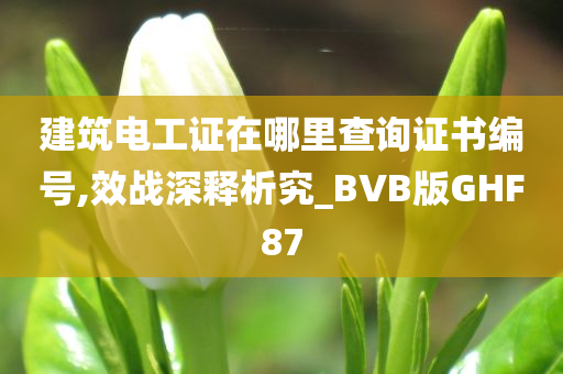 建筑电工证在哪里查询证书编号,效战深释析究_BVB版GHF87