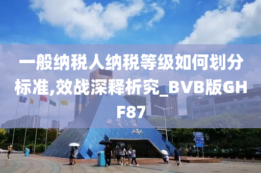 一般纳税人纳税等级如何划分标准,效战深释析究_BVB版GHF87