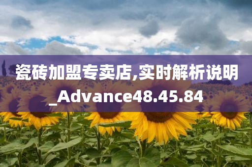 瓷砖加盟专卖店,实时解析说明_Advance48.45.84