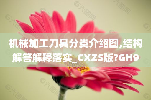 机械加工刀具分类介绍图,结构解答解释落实_CXZS版?GH9