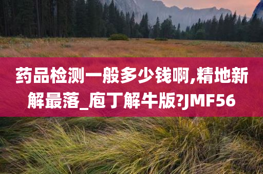 药品检测一般多少钱啊,精地新解最落_庖丁解牛版?JMF56