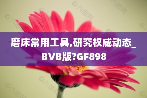 磨床常用工具,研究权威动态_BVB版?GF898